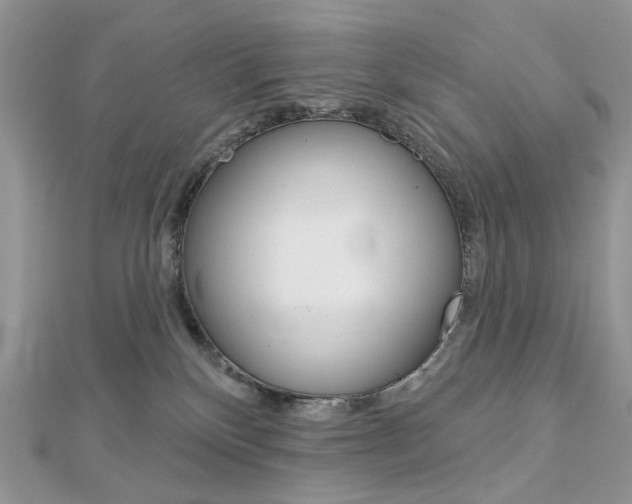 X0000113060136200908280956