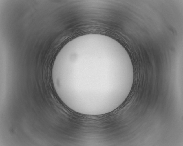 X0000113060137200908280956