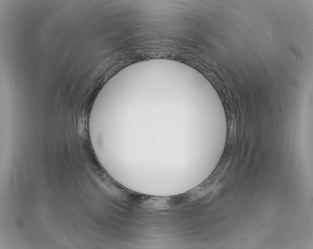 X0000113060138200908280956