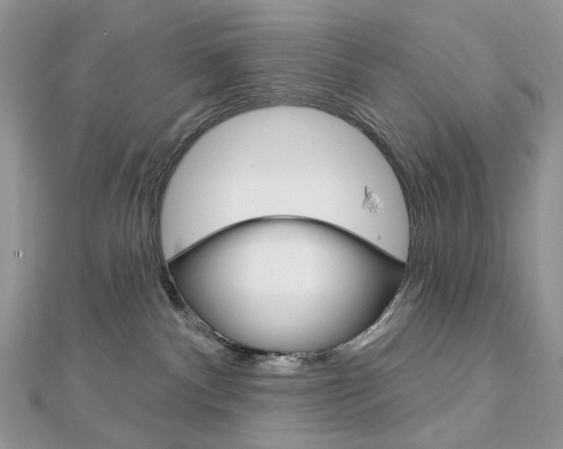 X0000113060140200908280956
