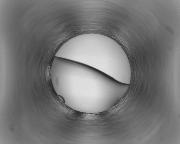 X0000113060141200908280956