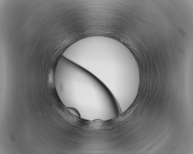 X0000113060143200908280956