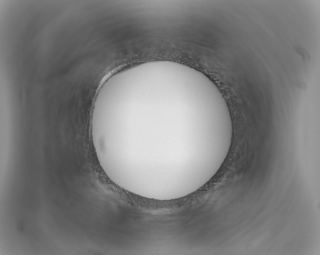 X0000113060144200908280956