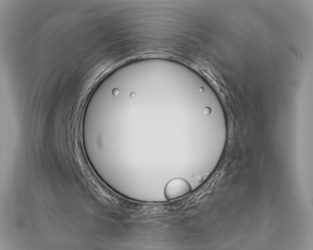 X0000113060145200908280955