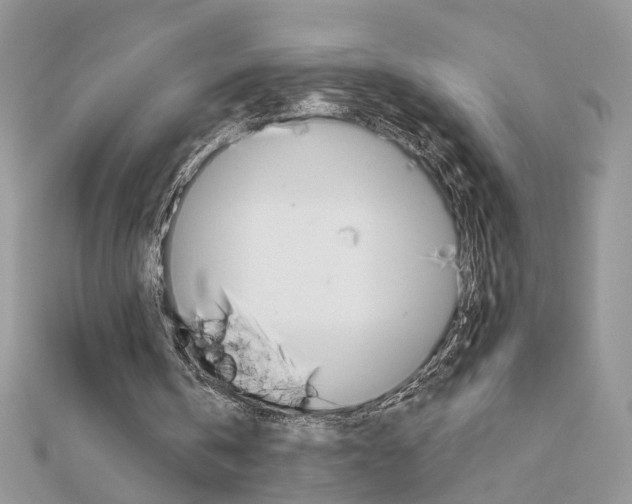 X0000113060146200908280955