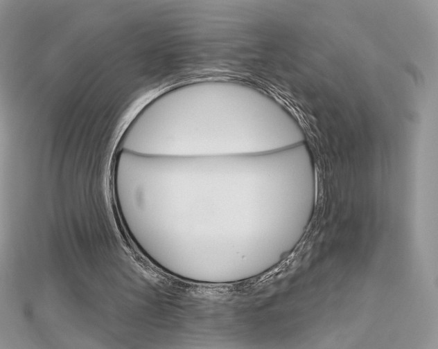 X0000113060147200908280955