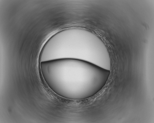 X0000113060148200908280955