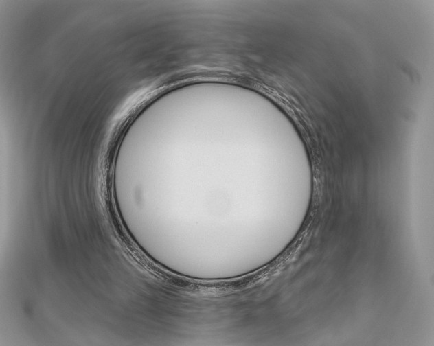 X0000113060149200908280955