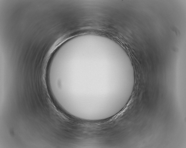 X0000113060150200908280955