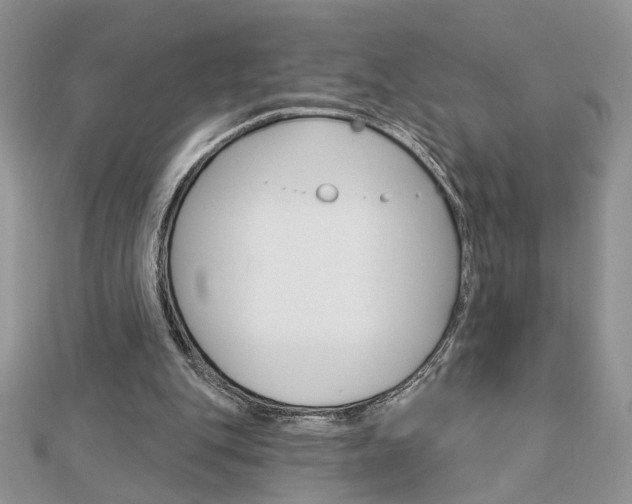 X0000113060151200908280955
