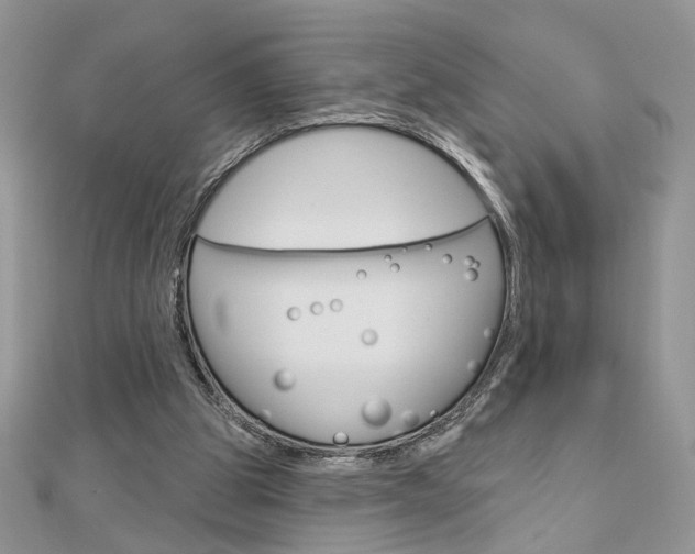 X0000113060153200908280955