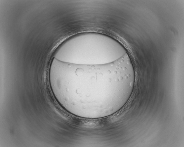 X0000113060155200908280955