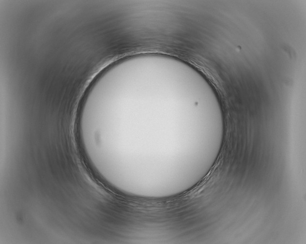 X0000113060156200908280955