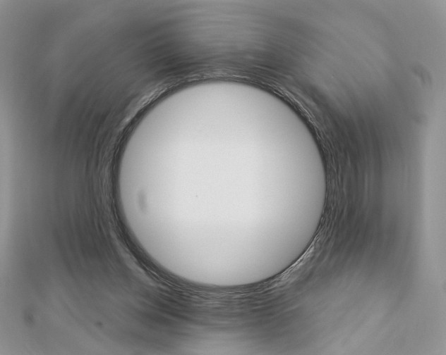 X0000113060158200908280955