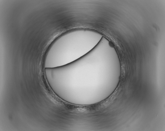 X0000113060159200908280955