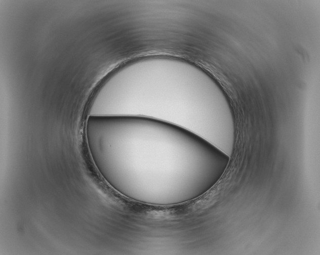 X0000113060160200908280955