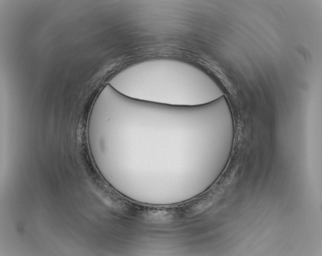 X0000113060161200908280955