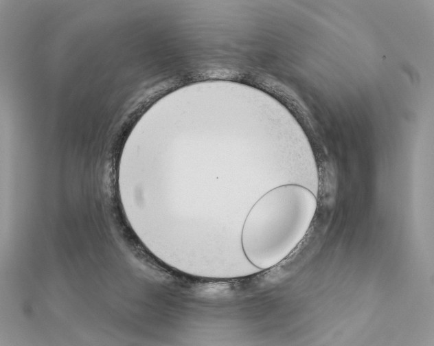 X0000113060162200908280955