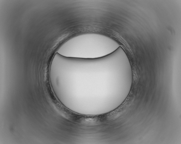 X0000113060163200908280955