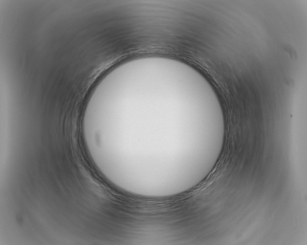 X0000113060164200908280955
