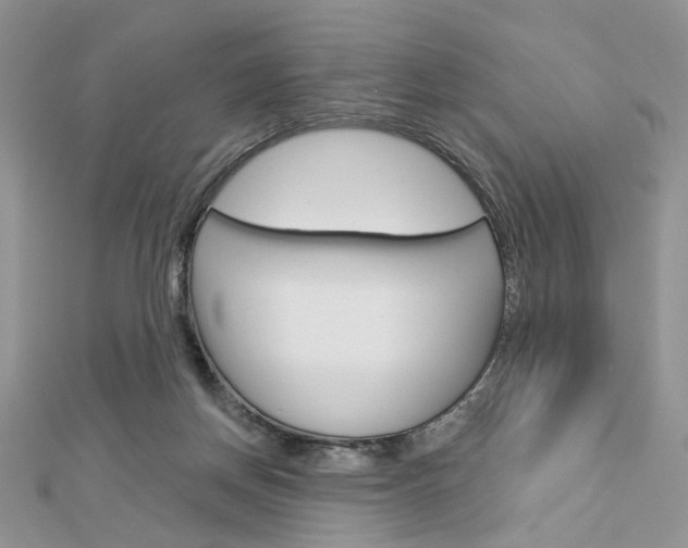 X0000113060166200908280955