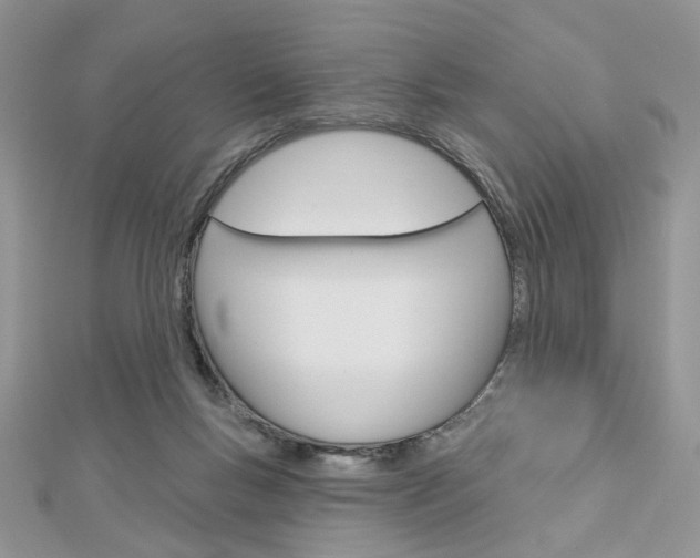 X0000113060167200908280955