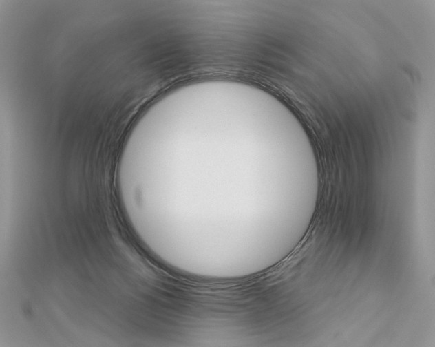X0000113060168200908280955