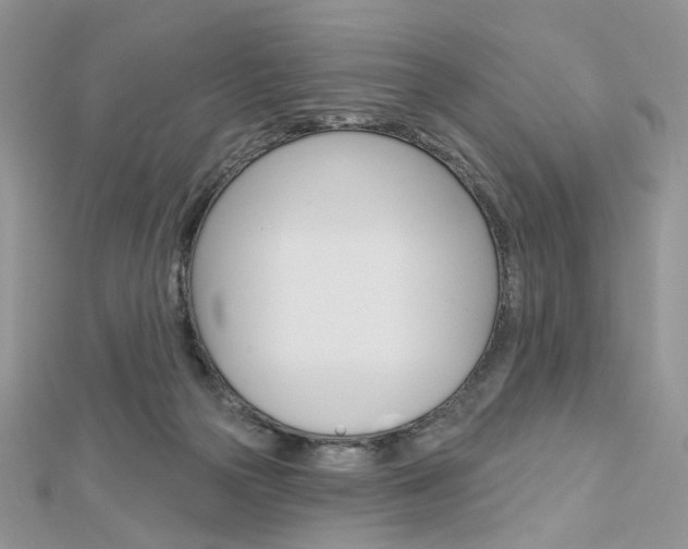 X0000113060169200908280955