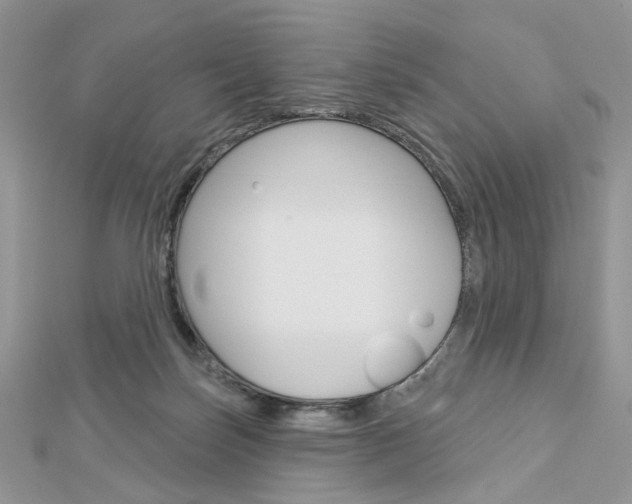 X0000113060171200908280955