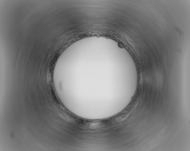 X0000113060173200908280955