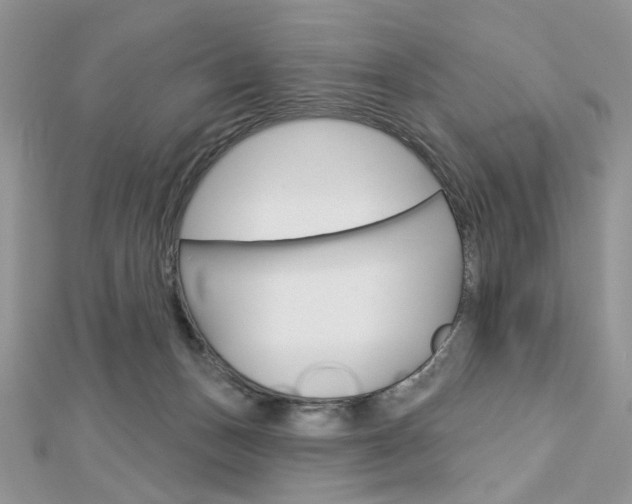 X0000113060175200908280955