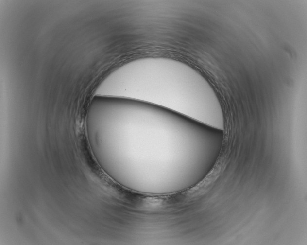 X0000113060176200908280955