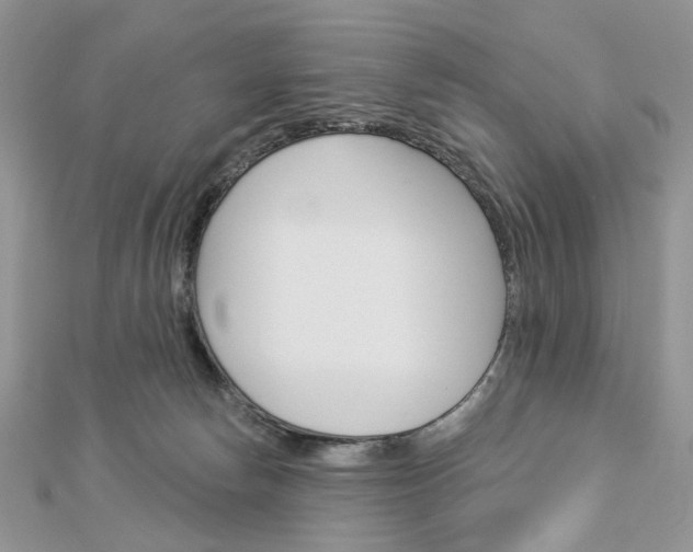 X0000113060178200908280955