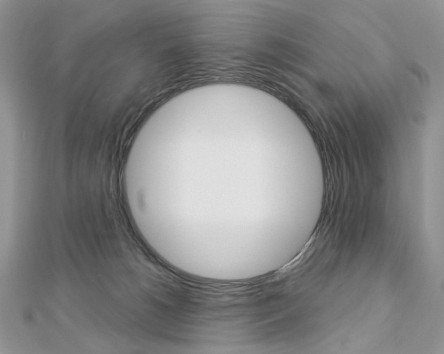 X0000113060180200908280955