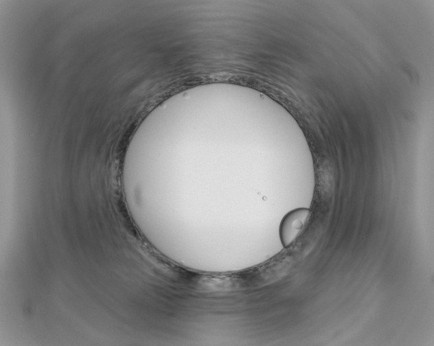 X0000113060181200908280955