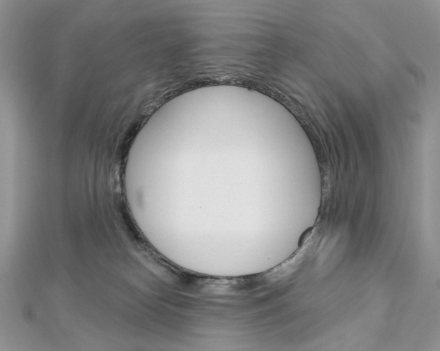 X0000113060182200908280955