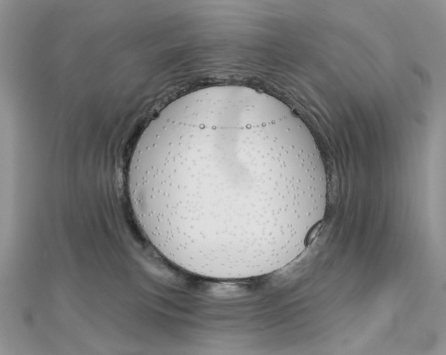 X0000113060183200908280955
