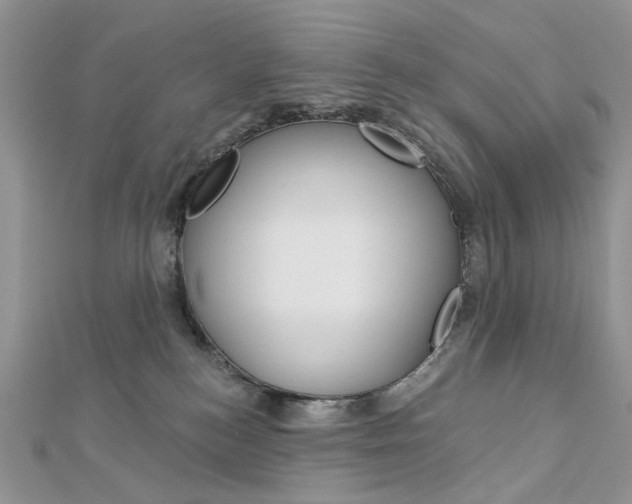 X0000113060184200908280955