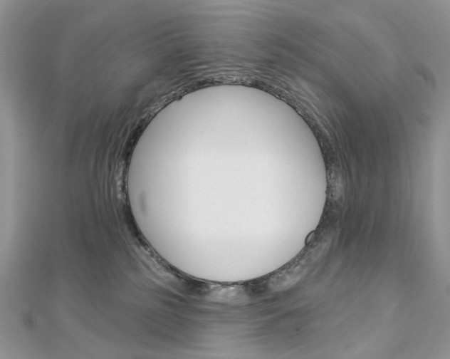 X0000113060185200908280955