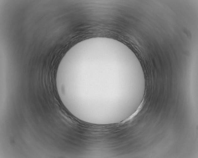 X0000113060186200908280955
