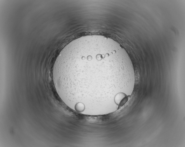 X0000113060187200908280955
