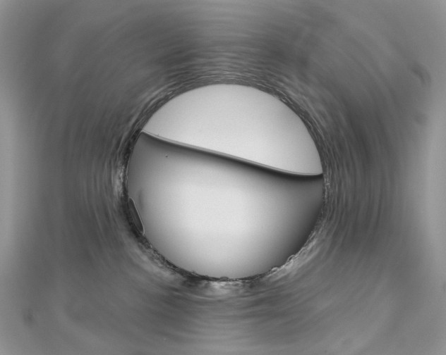 X0000113060188200908280955