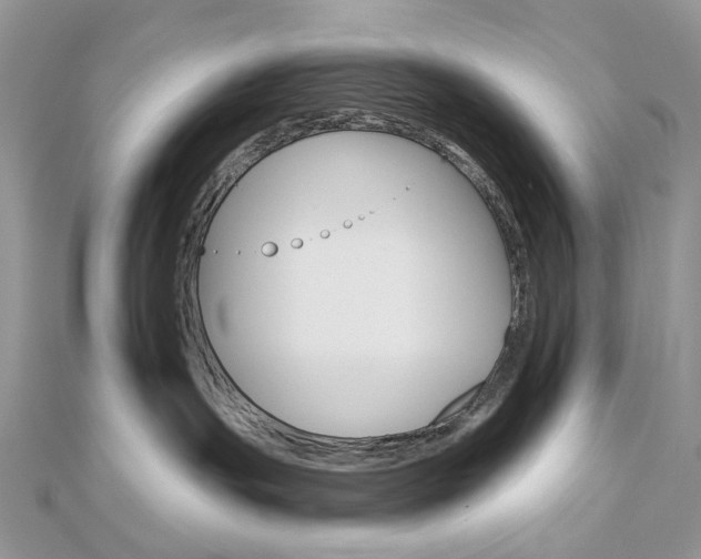 X0000113060191200908280956