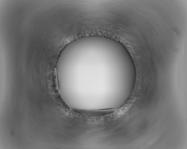X0000113060192200908280956