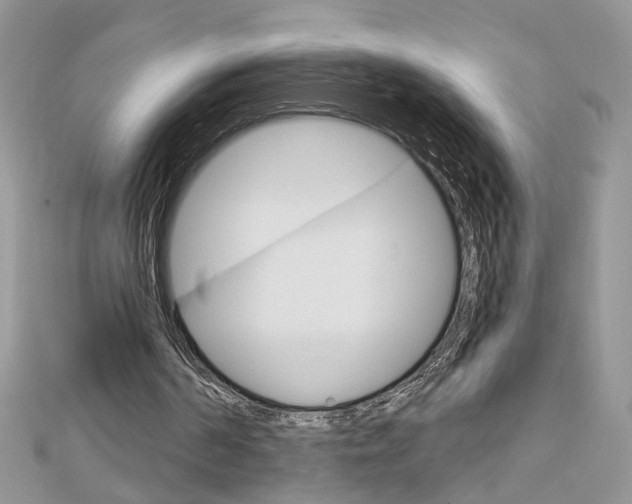 X0000113060194200908280955