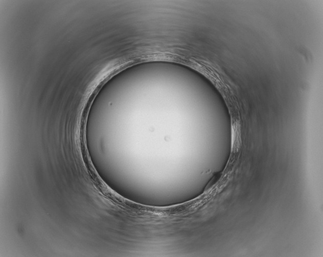 X0000113060195200908280955