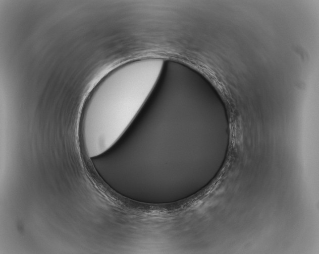 X0000113060196200908280955