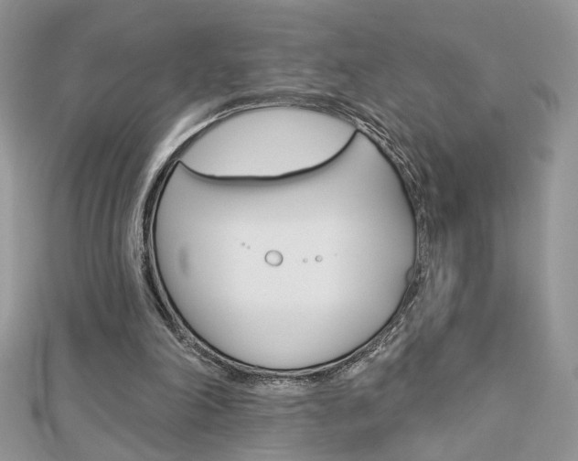 X0000113060198200908280955