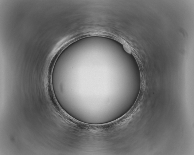 X0000113060199200908280955