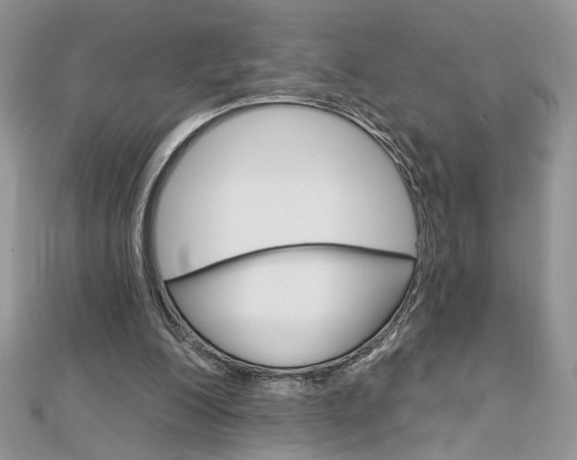 X0000113060200200908280955